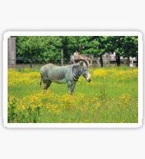 Surrounded by yellow flowers Sticker