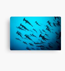 Thriller Canvas Print