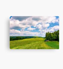 agricultural fields on hills Canvas Print