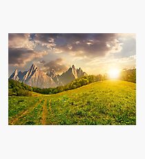 forest on grassy hillside in tatras at sunset Photographic Print