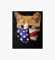 Cat Kitten with US America Bandana Art Board