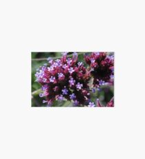 Tiny Purple Flowers Art Board