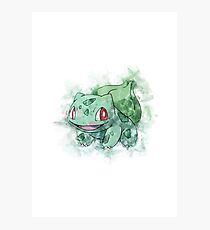 "So you chose the grass type!" Photographic Print