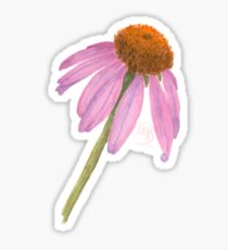Coneflower Sticker