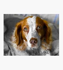 Loving awe Photographic Print