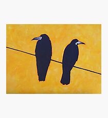 2 Rooks, 1 Wire Photographic Print