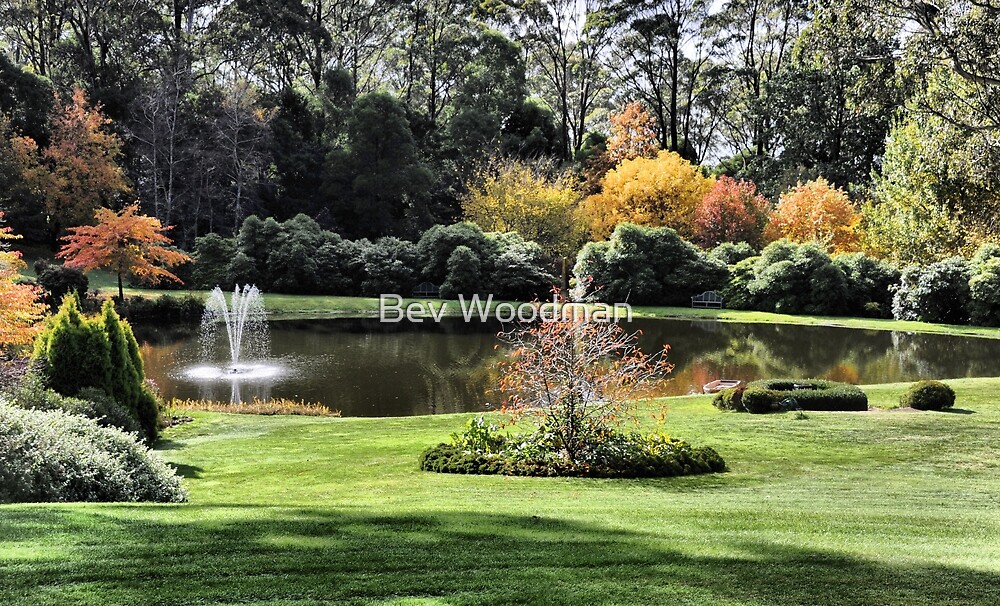 "Bisley Gardens Mt Wilson NSW Australia" by Bev Woodman Redbubble