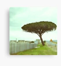 Solo in Suburbia Canvas Print