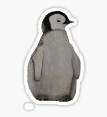 Penguin chick Sticker