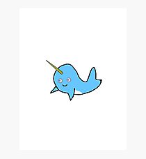cute narwhale Photographic Print