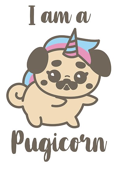 pugicorn teddy