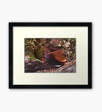 The Whirlpool Framed Print