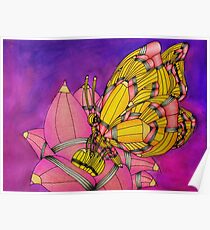 Pencil Animal Butterfly Poster