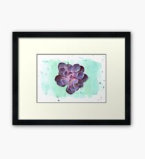 Purple Echeveria on Watercolour Background (horizontal) Framed Print