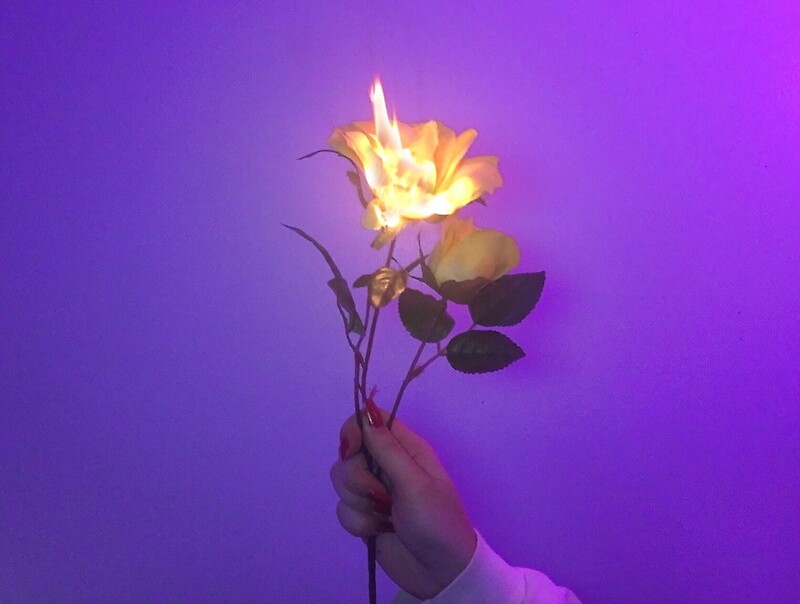 fire. flame. tumblr aesthetic. flaming. vaporwave. flower. rose. aesthetic....