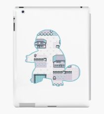 Water Pallet Town iPad Case/Skin