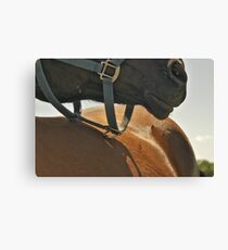 Fellowship Canvas Print