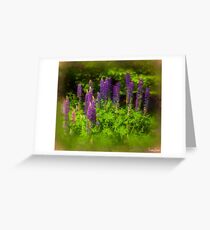 Wild Lupins Greeting Card