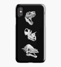 Cretaceous Park iPhone Case