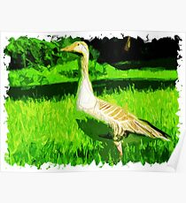 Animal Polygon Art Poster