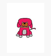 Pink dog Photographic Print