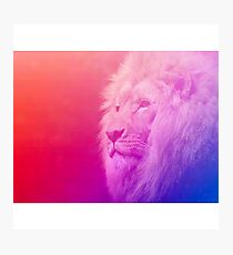 lion wallpaper Photographic Print