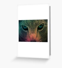 cat face wallpaper Greeting Card