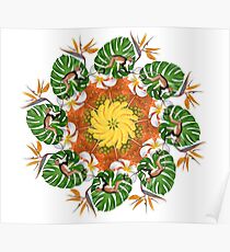 Tropic mandala withs monkeys Poster