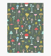 Mushrooms Photographic Print