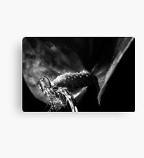 flower Canvas Print