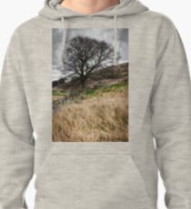 Moody scenery in Central Scotland Pullover Hoodie