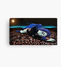 Raven Falls Canvas Print