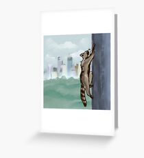 MPR Raccoon print by Megan Tegeder Greeting Card