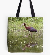 White Faced Ibis Tote Bag