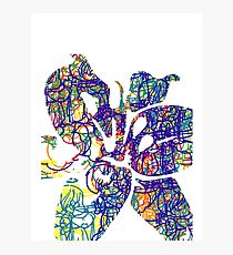 Spectrum Lily Photographic Print