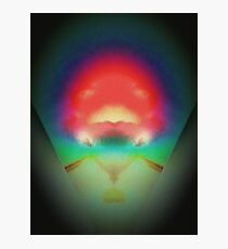 Flower Inside The Chalice Photographic Print