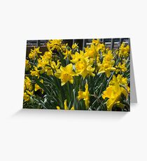 The Bounty of Spring Greeting Card