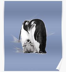 Emperor penguin family Poster