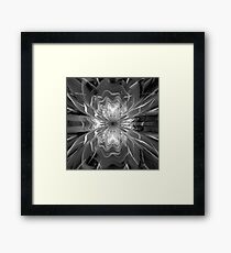 Glass coldness Framed Print