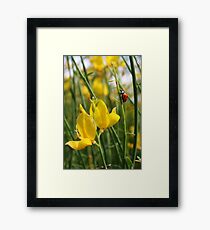 Approaching the Summit Framed Print