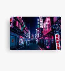 Nocturnal Alley Canvas Print