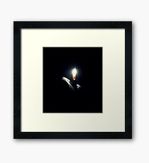 Nightlight Framed Print
