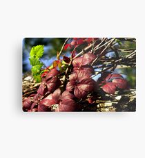 Living leaves Metal Print