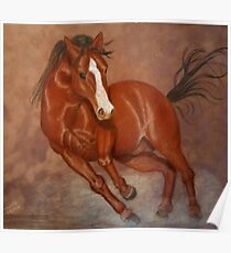 Nevada Mustang Poster