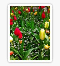 “Flower Bed of Beauty”, Photo / Digital Painting Sticker