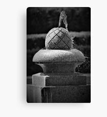 Spanish Fount Canvas Print