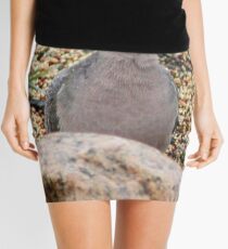 looking dove Mini Skirt