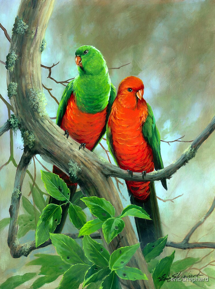 "Australian King Parrots" by eric shepherd Redbubble
