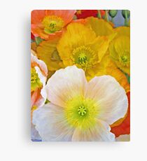 Papery Poppies Canvas Print