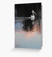 Pink Pelican Greeting Card